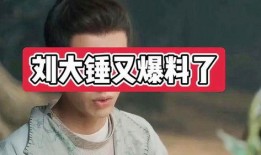 吴大锤最新爆料,娱乐圈最新爆料大起底