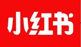 小红书上最新爆料,揭秘热门话题背后的惊人真相！