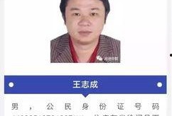 罗城最新消息爆料,揭秘神秘事件背后的真相