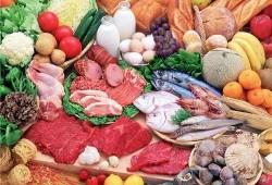 惠州食物爆料案件最新,揭露食品安全背后的真相